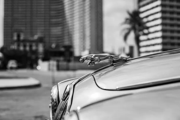 20Bets Cazino Cazinou Aplicație Android/iOS